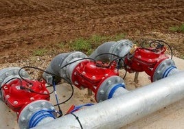 Dispositivo de riego automatizado.