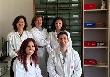 El cese de la lluvia disparará los niveles de alergia en León con las gramíneas en el foco