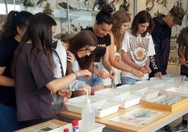 Jóvenes estudiantes participan en el campus
