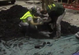 Agentes abriendo la saca de carbón vegetal que importó Mirantes.