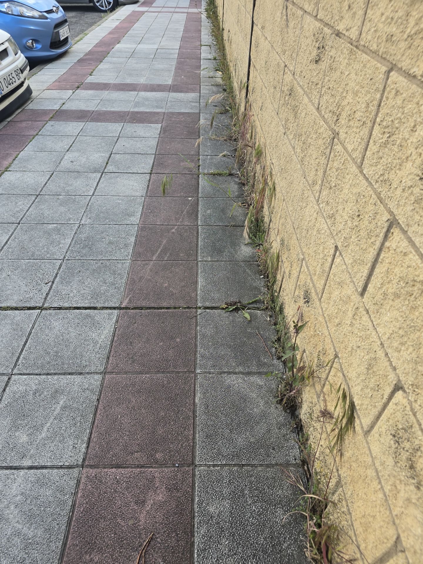 Nuevas quejas de vecinos de Trobajo del Camino