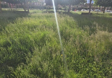 Vecinos de Trobajo no ven «solución» a la suciedad en sus calles y limpieza de parques