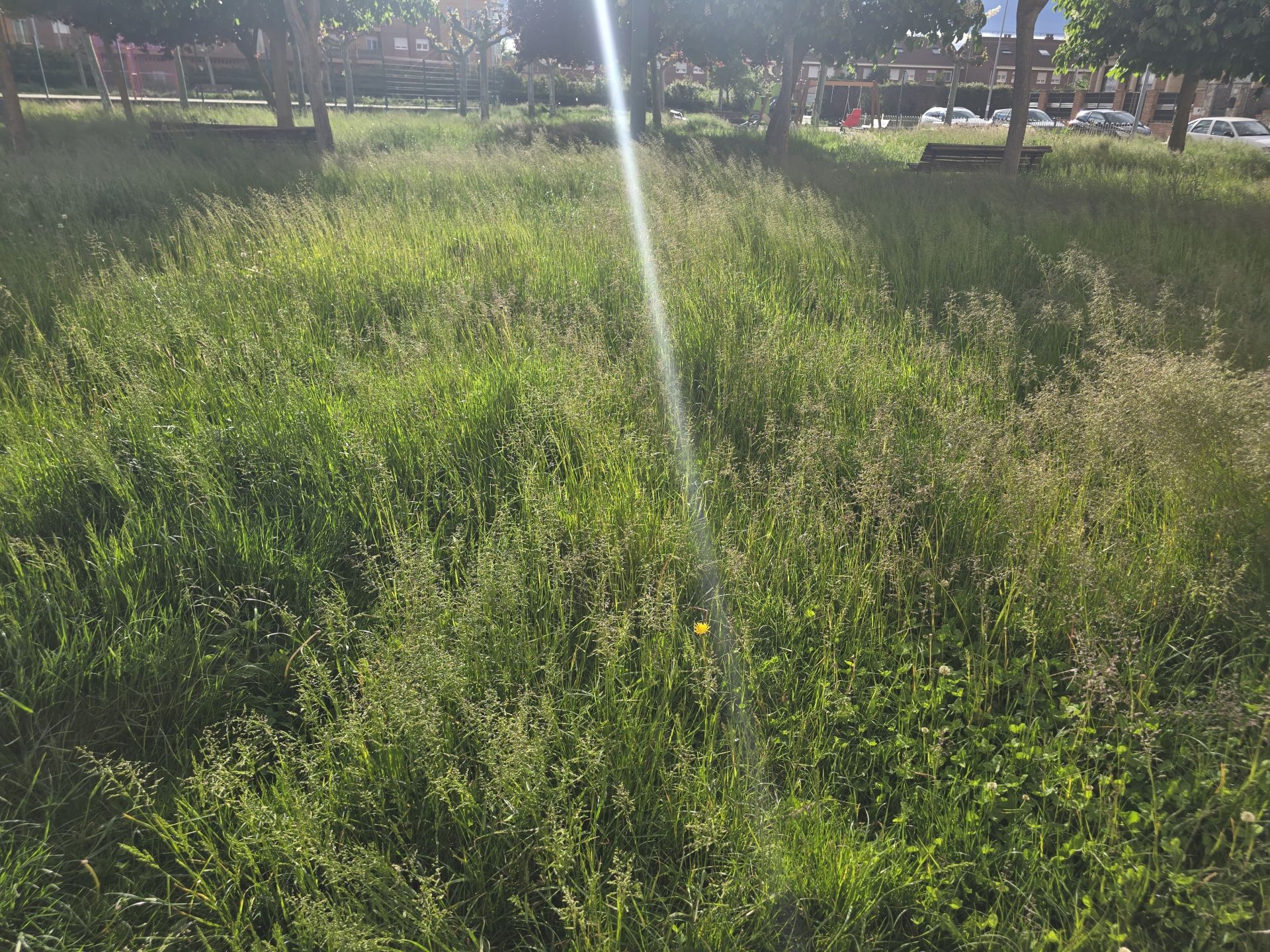 Estado del parque Juan Pedro Aparicio en Trobajo del Camino.