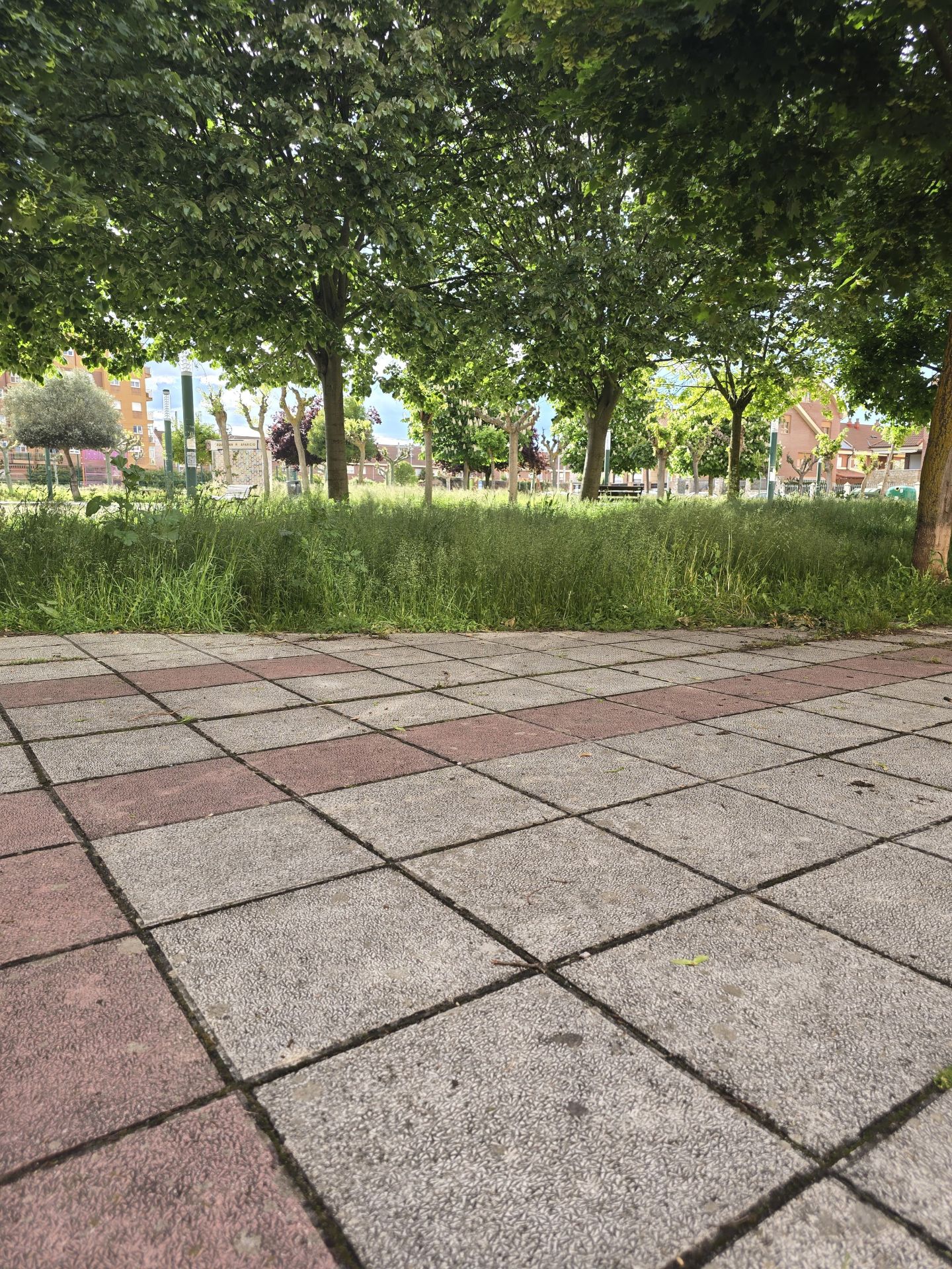 Nuevas quejas de vecinos de Trobajo del Camino