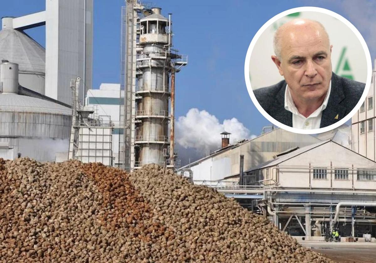 ERE en la Azucarera de La Bañeza: «Si no pagan, es normal que no haya producto»