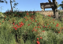 Primavera en León.