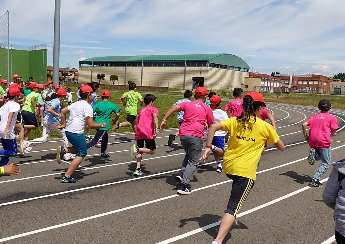 Imagen secundaria 1 - Compañerismo y competición en las II OrbiOlimpiadas.