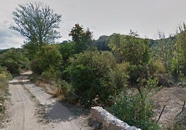 Caminos en la zona de Pedrún.