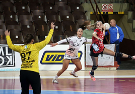 Imagen de un partido del Caja Rural Cleba en el Palacio