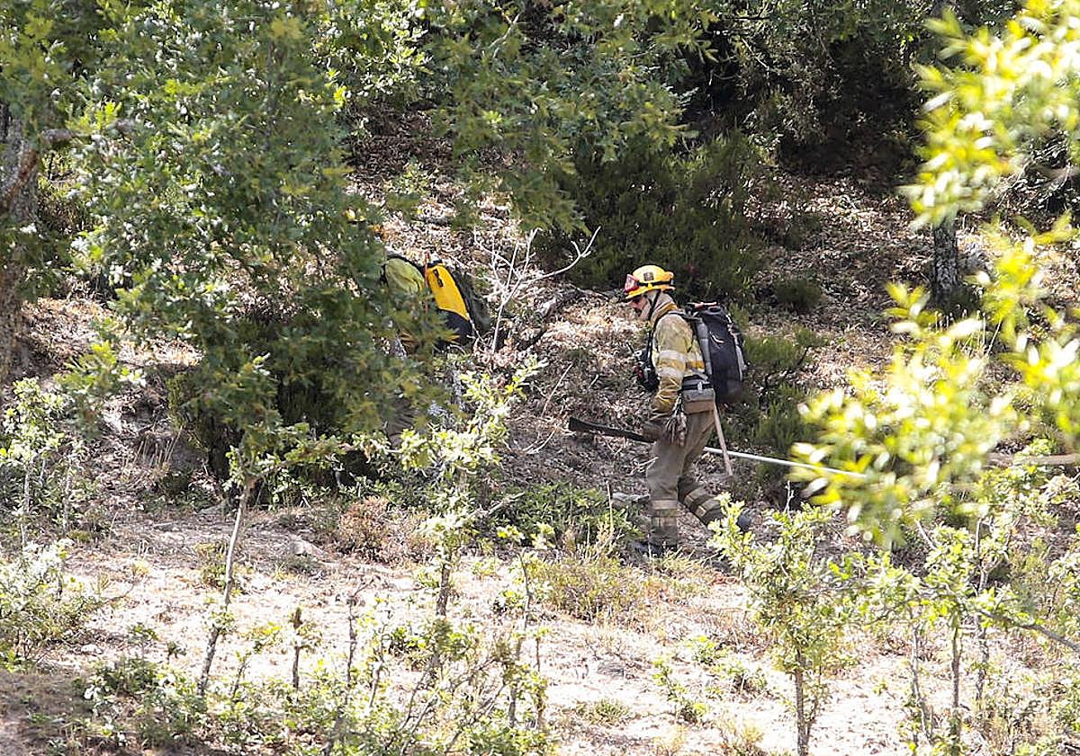 Imagen principal - Imágenes de la BRIF de Sahechores de Rueda.