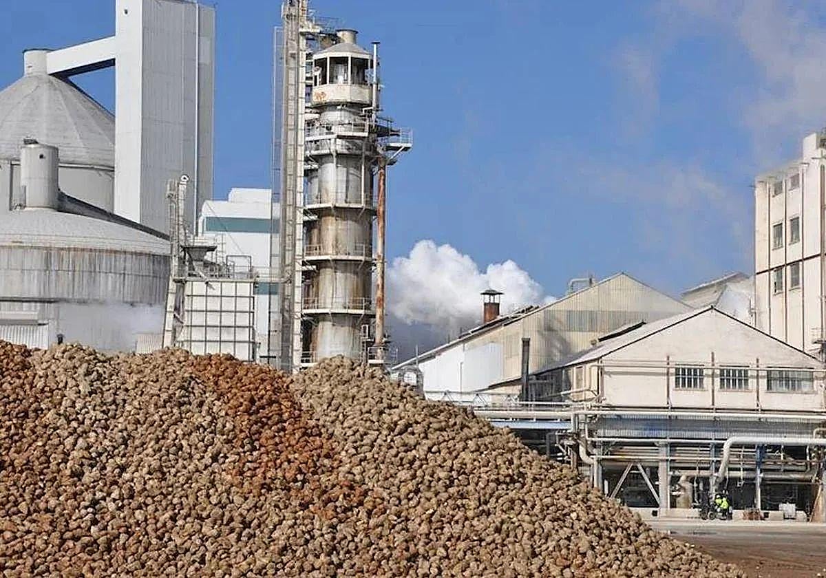 Planta de Azucarera en La Bañeza.