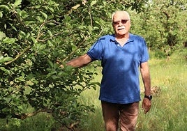 Herminio Carral en sus tierras, junto a sus manzanos.