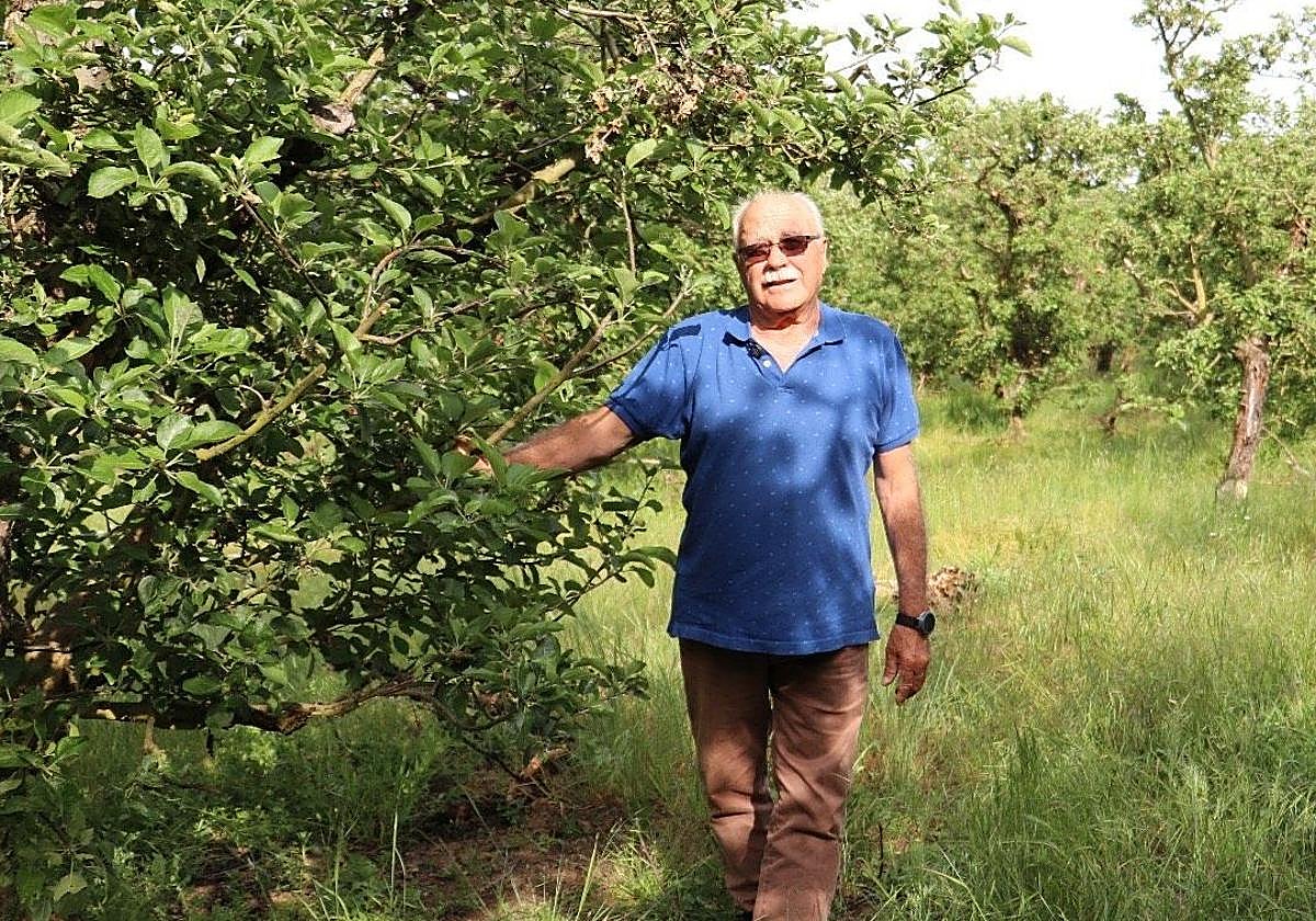 Herminio Carral en sus tierras, junto a sus manzanos.