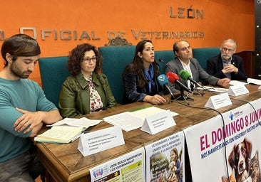 Los veterinarios de León, en pie de guerra: «Delinquimos porque no queremos matar a los animales»