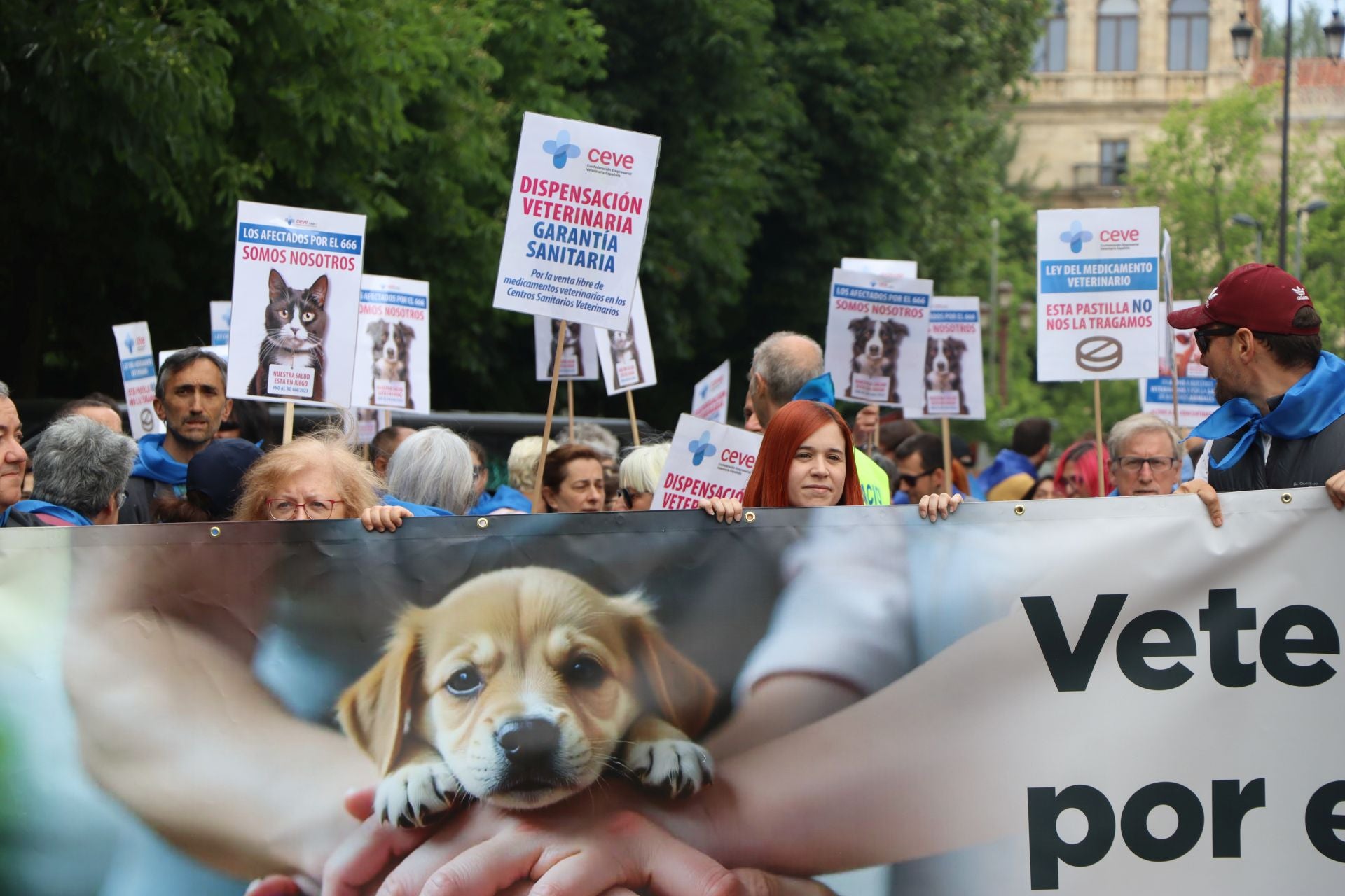 Imágenes de la manifestación veterinaria en León