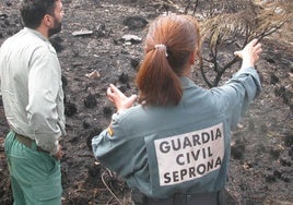El Seprona interpone más de 3.100 infracciones en León con el maltrato animal a la cabeza