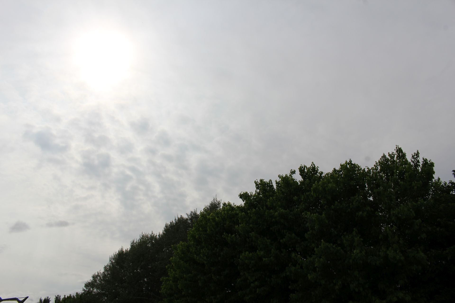 El sol en el cielo de León tras una capa de nubes altas, y la presencia de vapor de agua y polvo en suspensión.