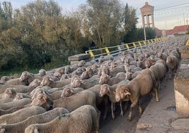 El puente que es paso de una cañada real.