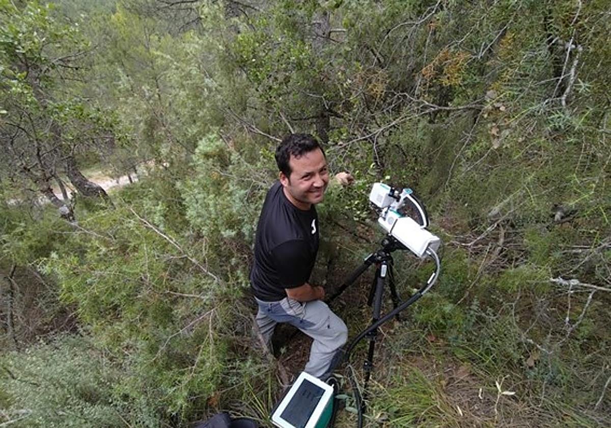 Científicos de la ULE revelan cómo utilizan el agua 62 especies de árboles y arbustos