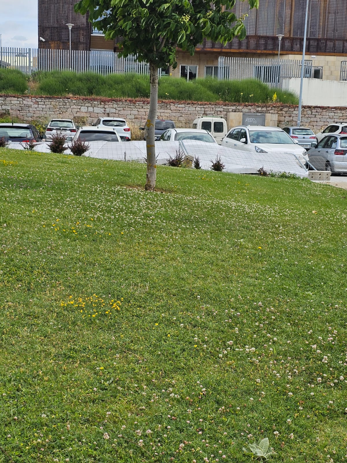 El viento tumba las vallas del Monoloco contra los coches