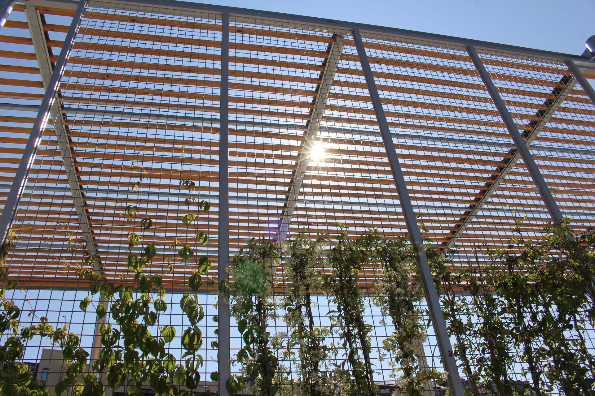 La nueva pérgola bioclimática en Pendones Leoneses
