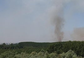 Imagen del lugar donde se ha producido el fuego.