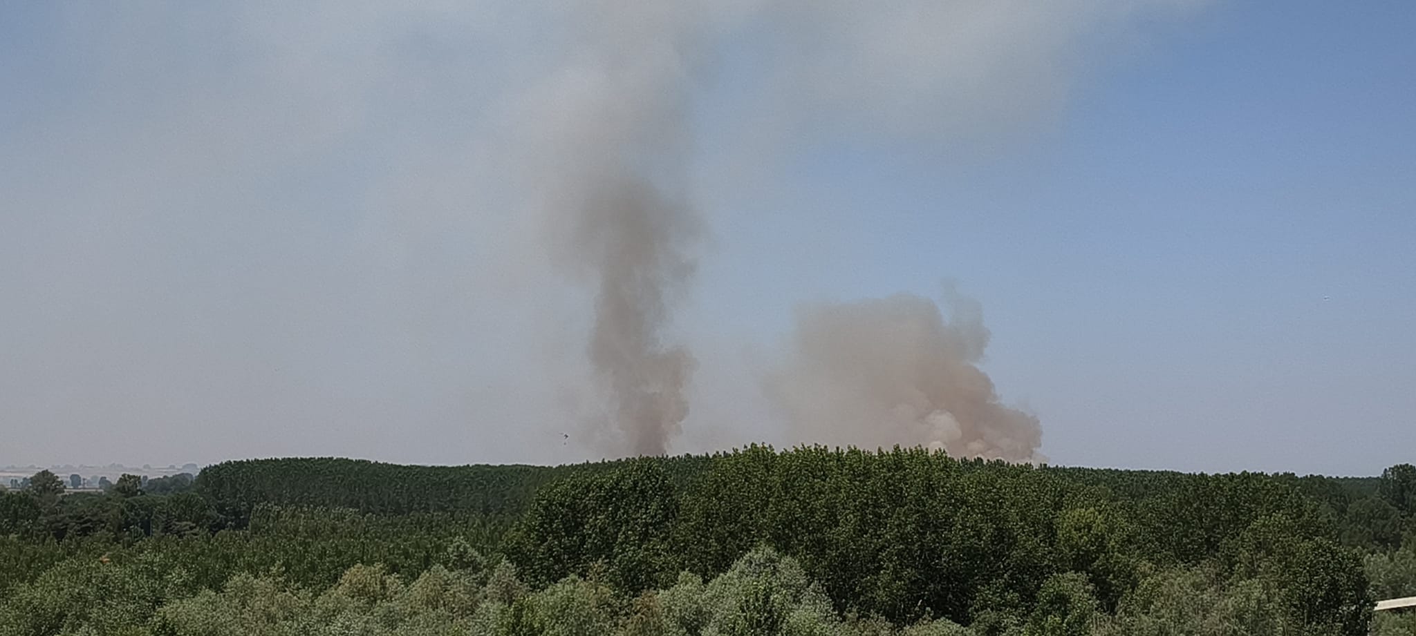 Imagen del lugar donde se ha producido el fuego.