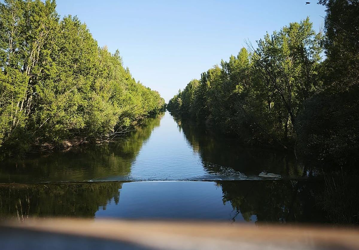El rio Bernesga a su paso por León.