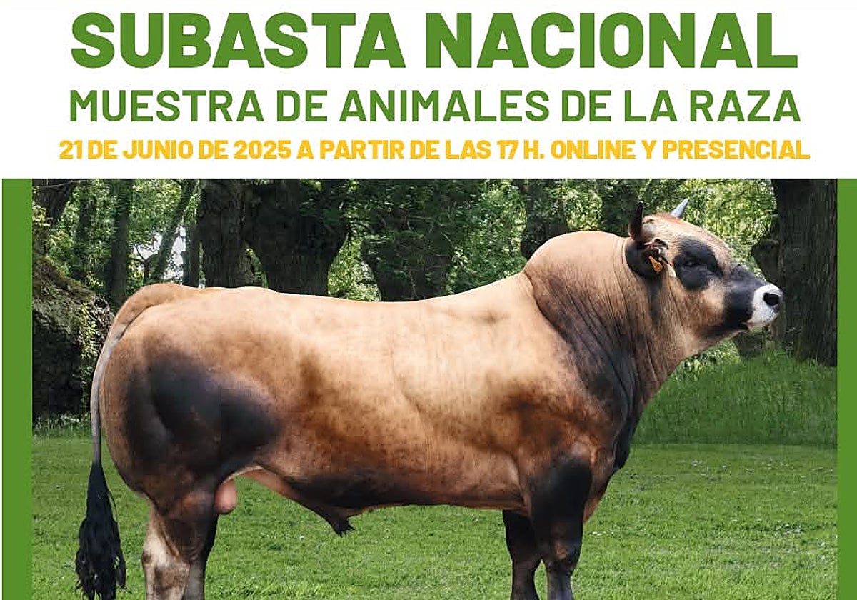 Cartel de la subasta nacional que tendrá lugar en Villablino