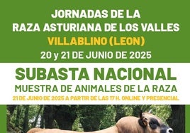 Cartel de la subasta nacional que tendrá lugar en Villablino