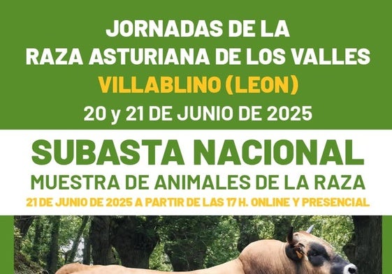 Cartel de la subasta nacional que tendrá lugar en Villablino