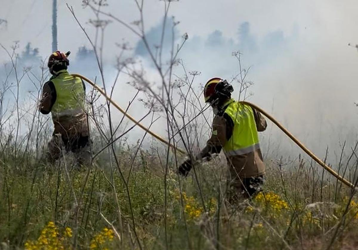 Incendio en las inmediaciones del cementerio municipal de León.