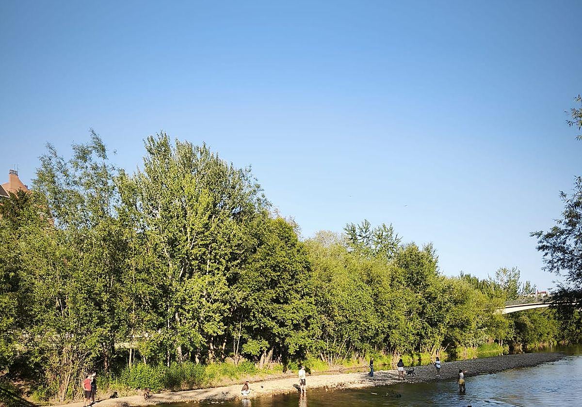 Imagen del rio Bernesga a su paso por León.