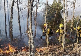Imagen de archivo de agentes medioambientales sofocando un fuego.