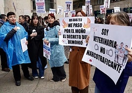 Protesta de veterinarios en León.-