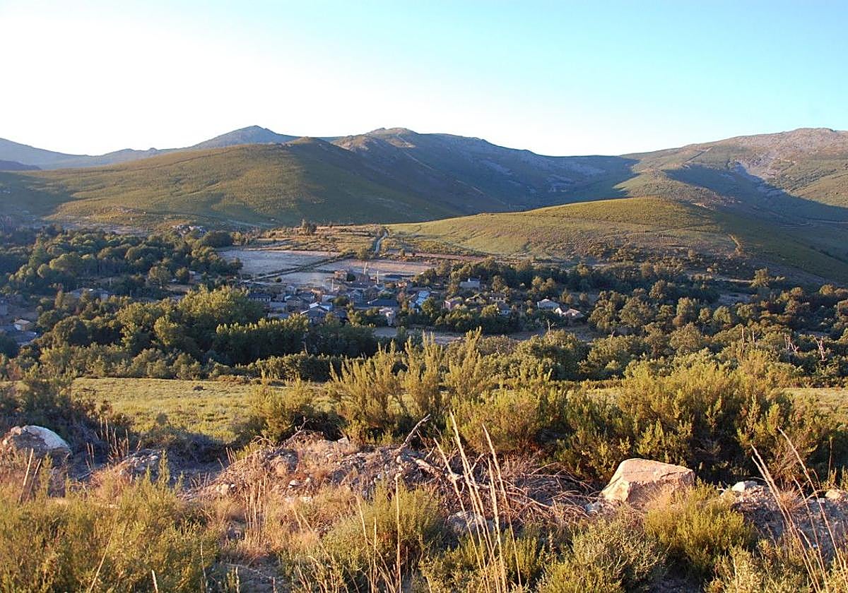 El fantástico bosque de Valdavido.