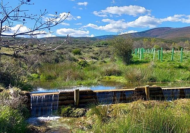 Obra de retenida del agua para mejorar el encharcamiento de estas zonas en la época estival.