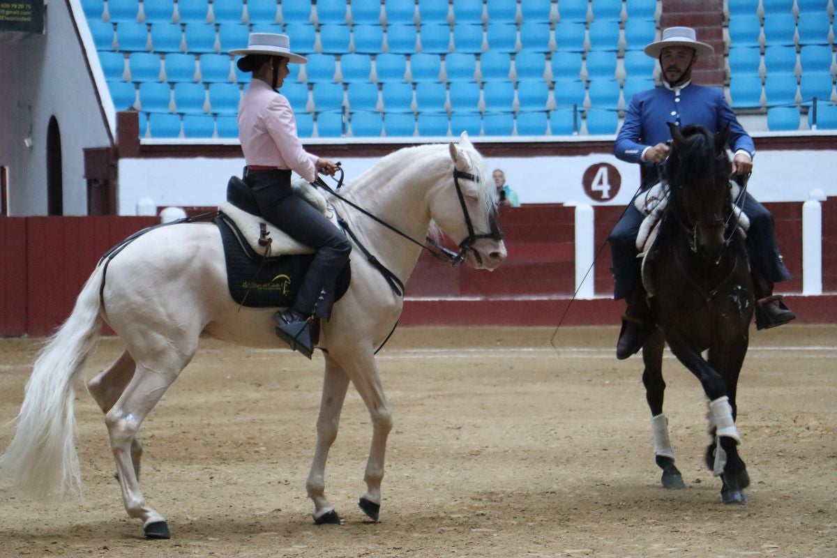 La Magia del Caballo, en imágenes