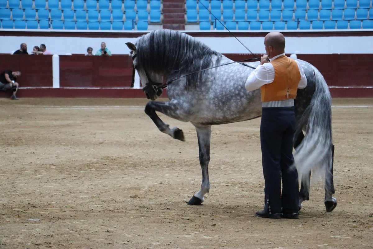 La Magia del Caballo, en imágenes