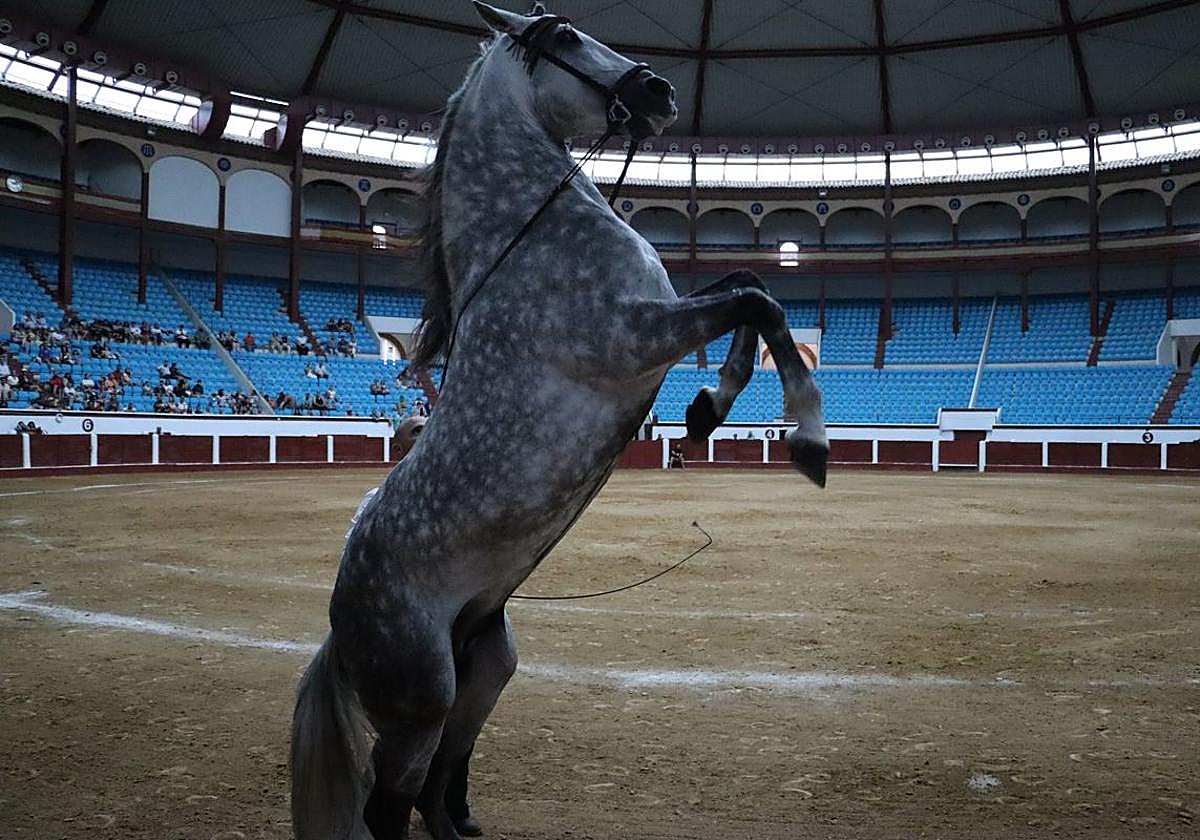 La Magia del Caballo, en imágenes