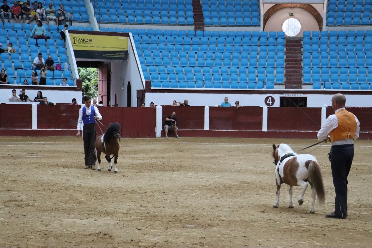 La Magia del Caballo, en imágenes