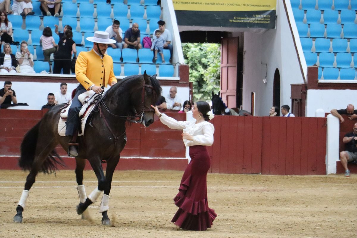 La Magia del Caballo, en imágenes
