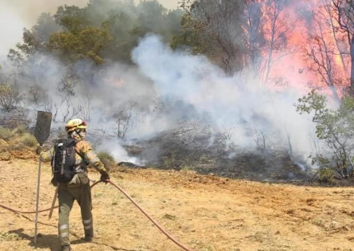 Vuelve el riesgo extremo de incendios en León | leonoticias.com