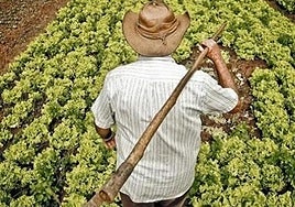 El relevo generacional como gran reto del campo: menos del 10% de los titulares son menores de 41 años