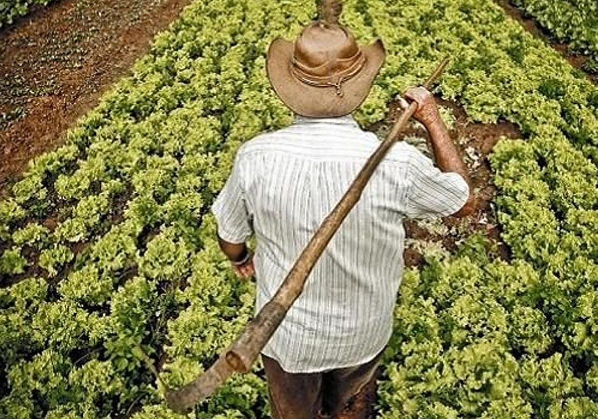 El relevo generacional como gran reto del campo: menos del 10% de los titulares son menores de 41 años