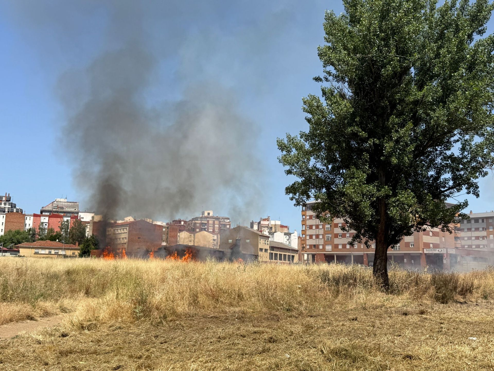 Incendio de un solar en La Palomera