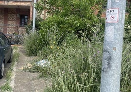 Una de las calles de la pedanía de Armunia.