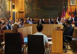 Pleno en la Diputación de León.