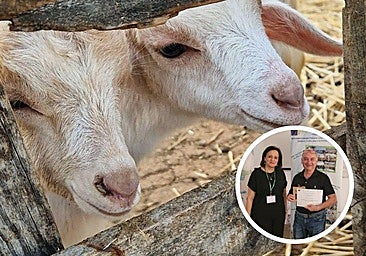 Investigadores de la ULE viajan a Túnez en busca de un sistema sostenible de alimentación animal