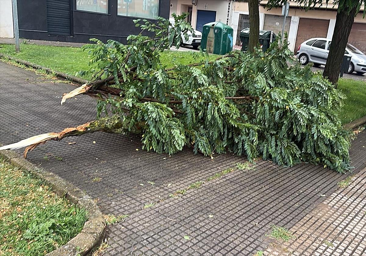 Las imágenes de la espectacular tormenta de granizo que ha caído en León
